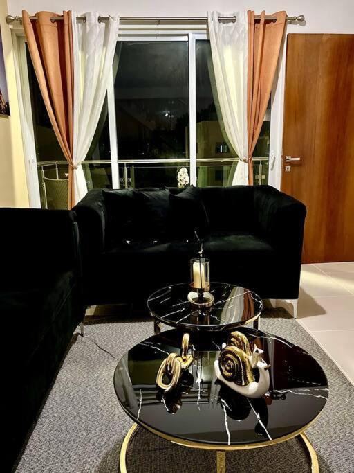 Apartament Magnificent Pent House W/Jacuzzi Santiago De Los Caballeros Zewnętrze zdjęcie