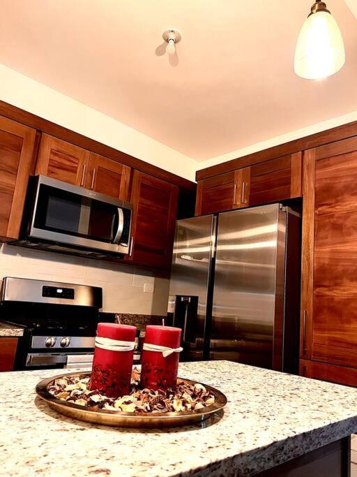 Apartament Magnificent Pent House W/Jacuzzi Santiago De Los Caballeros Zewnętrze zdjęcie